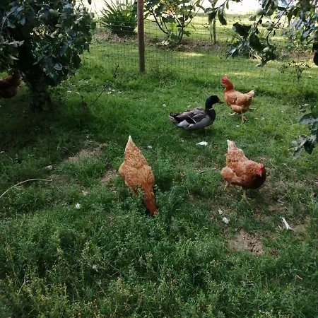 Holiday home Du Verger *