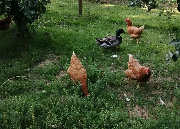 Semesterbostad Du Verger *